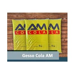 GESSO COLA  - 5 KG AM