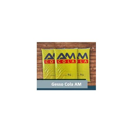 GESSO COLA  - 5 KG AM